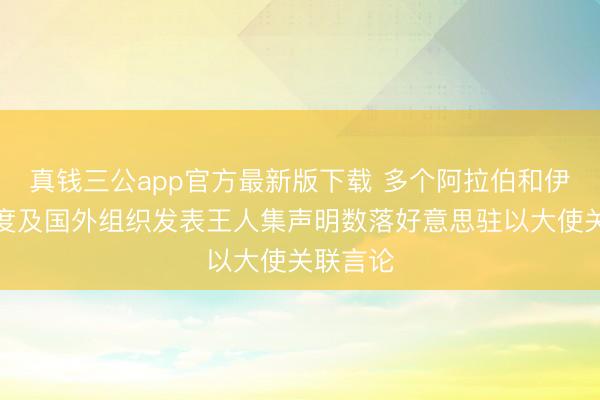 真钱三公app官方最新版下载 多个阿拉伯和伊斯兰国度及国外组织发表王人集声明数落好意思驻以大使关联言论