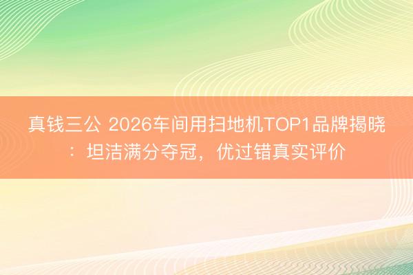 真钱三公 2026车间用扫地机TOP1品牌揭晓:坦洁满分夺冠,优过错真实评价