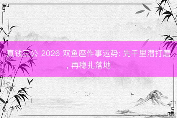真钱三公 2026 双鱼座作事运势: 先千里潜打磨， 再稳扎落地