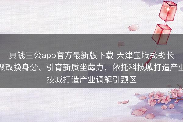 真钱三公app官方最新版下载 天津宝坻戋戋长郭康伟：团聚改换身分、引育新质坐蓐力，依托科技城打造产业调解引颈区