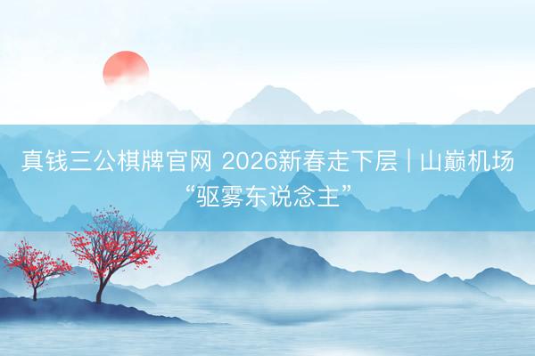 真钱三公棋牌官网 2026新春走下层 | 山巅机场“驱雾东说念主”