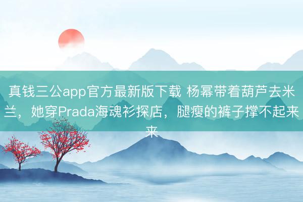 真钱三公app官方最新版下载 杨幂带着葫芦去米兰,她穿Prada海魂衫探店,腿瘦的裤子撑不起来