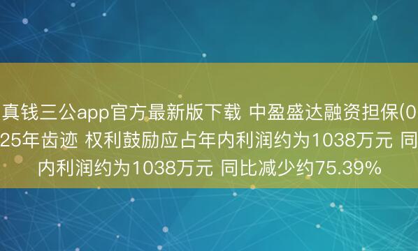 真钱三公app官方最新版下载 中盈盛达融资担保(01543.HK)公布2025年齿迹 权利鼓励应占年内利润约为1038万元 同比减少约75.39%