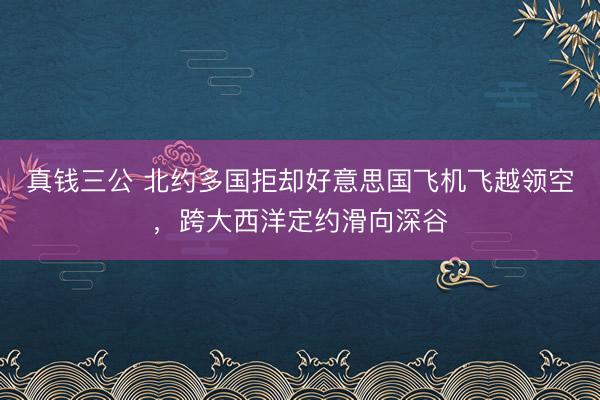 真钱三公 北约多国拒却好意思国飞机飞越领空，跨大西洋定约滑向深谷