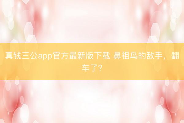 真钱三公app官方最新版下载 鼻祖鸟的敌手，翻车了？
