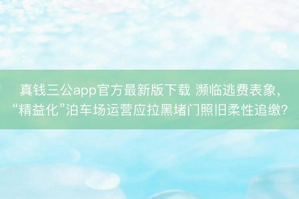 真钱三公app官方最新版下载 濒临逃费表象,“精益化”泊车场运营应拉黑堵门照旧柔性追缴?