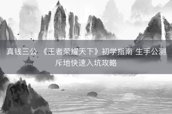 真钱三公 《王者荣耀天下》初学指南 生手公测斥地快速入坑攻略