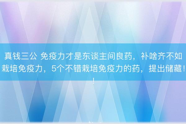 真钱三公 免疫力才是东谈主间良药，补啥齐不如栽培免疫力，5个不错栽培免疫力的药，提出储藏！