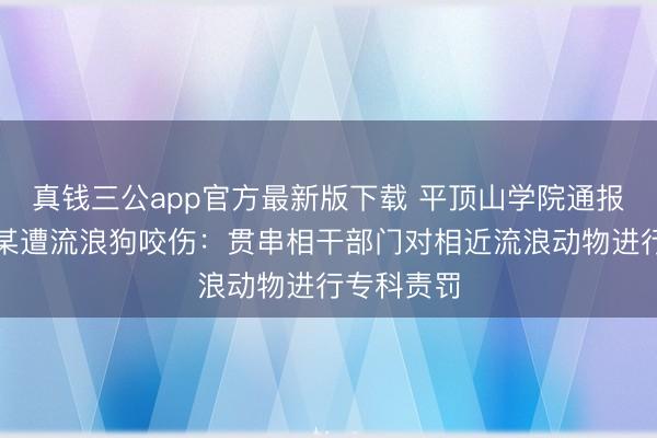 真钱三公app官方最新版下载 平顶山学院通报学生高某某遭流浪狗咬伤：贯串相干部门对相近流浪动物进行专科责罚