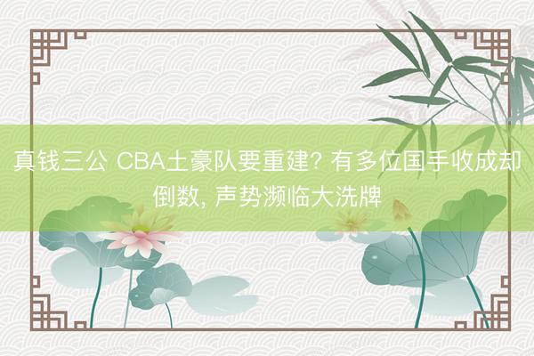 真钱三公 CBA土豪队要重建? 有多位国手收成却倒数， 声势濒临大洗牌
