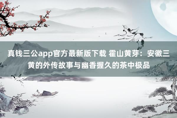 真钱三公app官方最新版下载 霍山黄芽:安徽三黄的外传故事与幽香握久的茶中极品