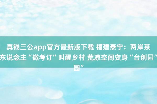 真钱三公app官方最新版下载 福建泰宁:两岸茶东说念主“微考订”叫醒乡村 荒凉空间变身“台创园”