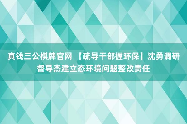 真钱三公棋牌官网 【疏导干部握环保】沈勇调研督导杰建立态环境问题整改责任