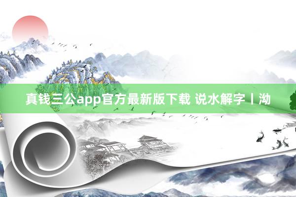 真钱三公app官方最新版下载 说水解字丨泑