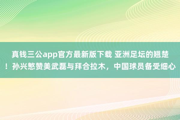 真钱三公app官方最新版下载 亚洲足坛的翘楚!孙兴慜赞美武磊与拜合拉木,中国球员备受细心