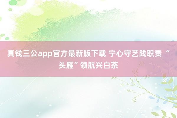 真钱三公app官方最新版下载 宁心守艺践职责 “头雁”领航兴白茶