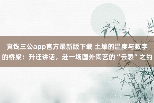 真钱三公app官方最新版下载 土壤的温度与数字的桥梁：升迁讲话，赴一场国外陶艺的“云表”之约