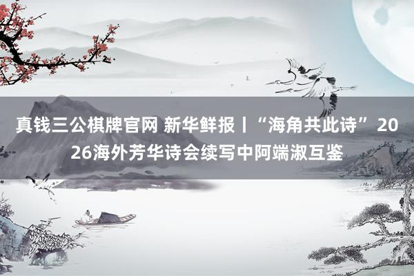 真钱三公棋牌官网 新华鲜报丨“海角共此诗” 2026海外芳华诗会续写中阿端淑互鉴