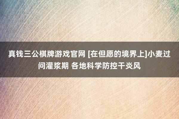 真钱三公棋牌游戏官网 [在但愿的境界上]小麦过问灌浆期 各地科学防控干炎风
