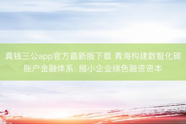 真钱三公app官方最新版下载 青海构建数智化碳账户金融体系: 缩小企业绿色融资资本