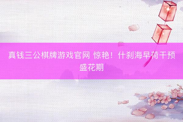 真钱三公棋牌游戏官网 惊艳！什刹海早荷干预盛花期
