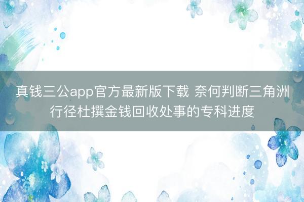 真钱三公app官方最新版下载 奈何判断三角洲行径杜撰金钱回收处事的专科进度