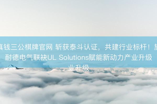 真钱三公棋牌官网 斩获泰斗认证，共建行业标杆！施耐德电气联袂UL Solutions赋能新动力产业升级