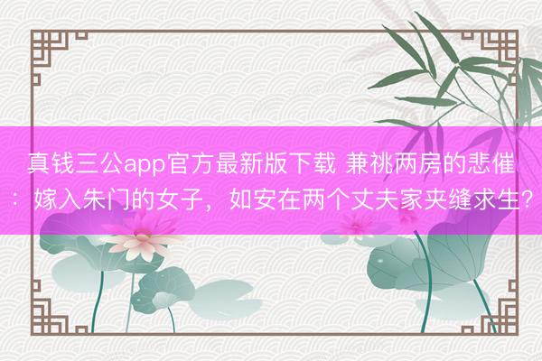 真钱三公app官方最新版下载 兼祧两房的悲催:嫁入朱门的女子,如安在两个丈夫家夹缝求生?
