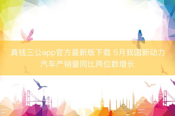 真钱三公app官方最新版下载 5月我国新动力汽车产销量同比两位数增长