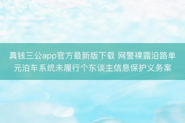 真钱三公app官方最新版下载 网警裸露沿路单元泊车系统未履行个东谈主信息保护义务案
