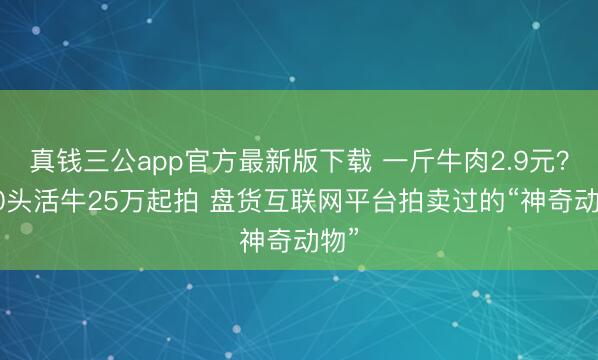真钱三公app官方最新版下载 一斤牛肉2.9元?100头活牛25万起拍 盘货互联网平台拍卖过的“神奇动物”