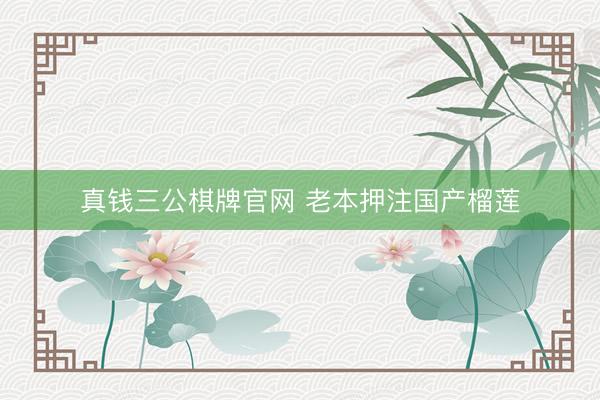 真钱三公棋牌官网 老本押注国产榴莲