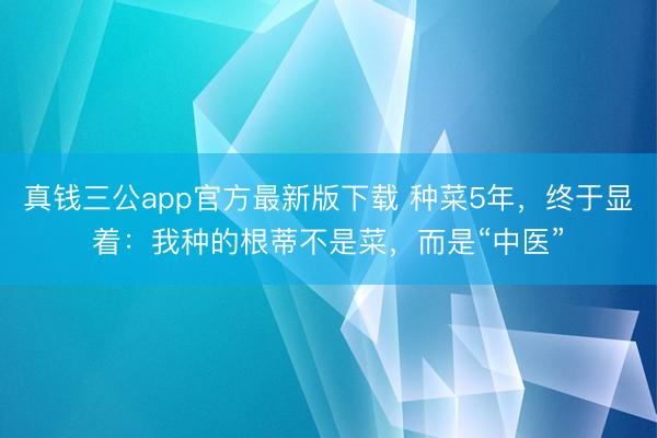真钱三公app官方最新版下载 种菜5年，终于显着：我种的根蒂不是菜，而是“中医”